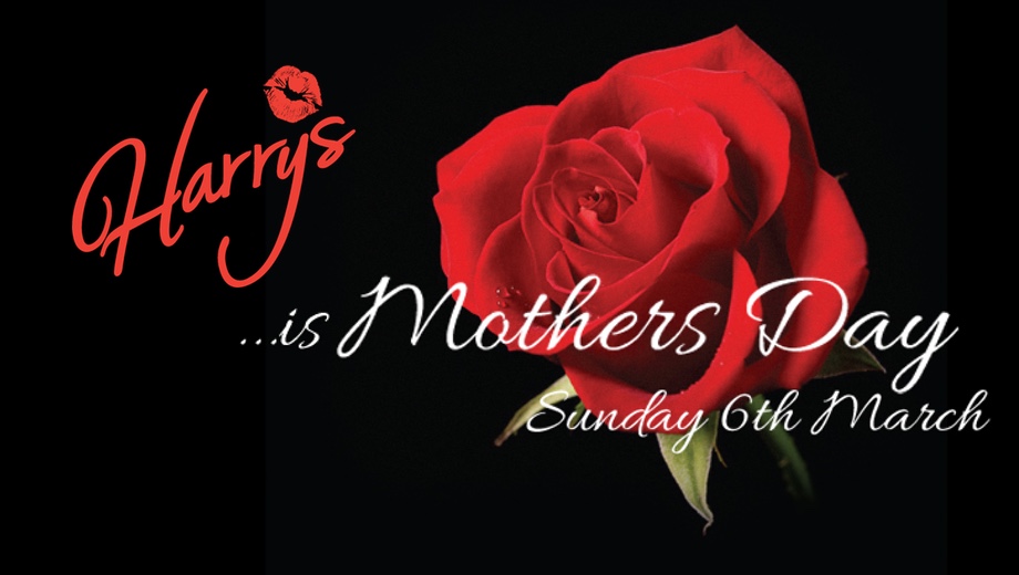 Harry's Bar Newcastle